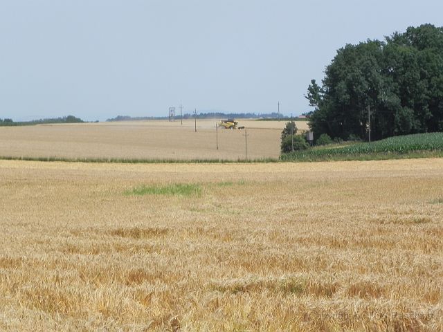TT Steinhaus_084.JPG